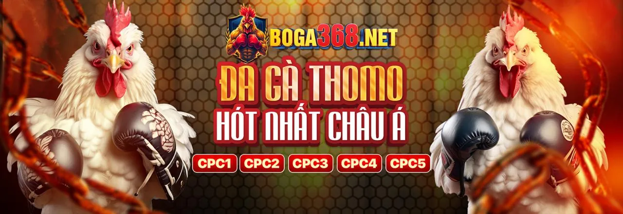 Tổng quan các loại khuyến mãi UU8